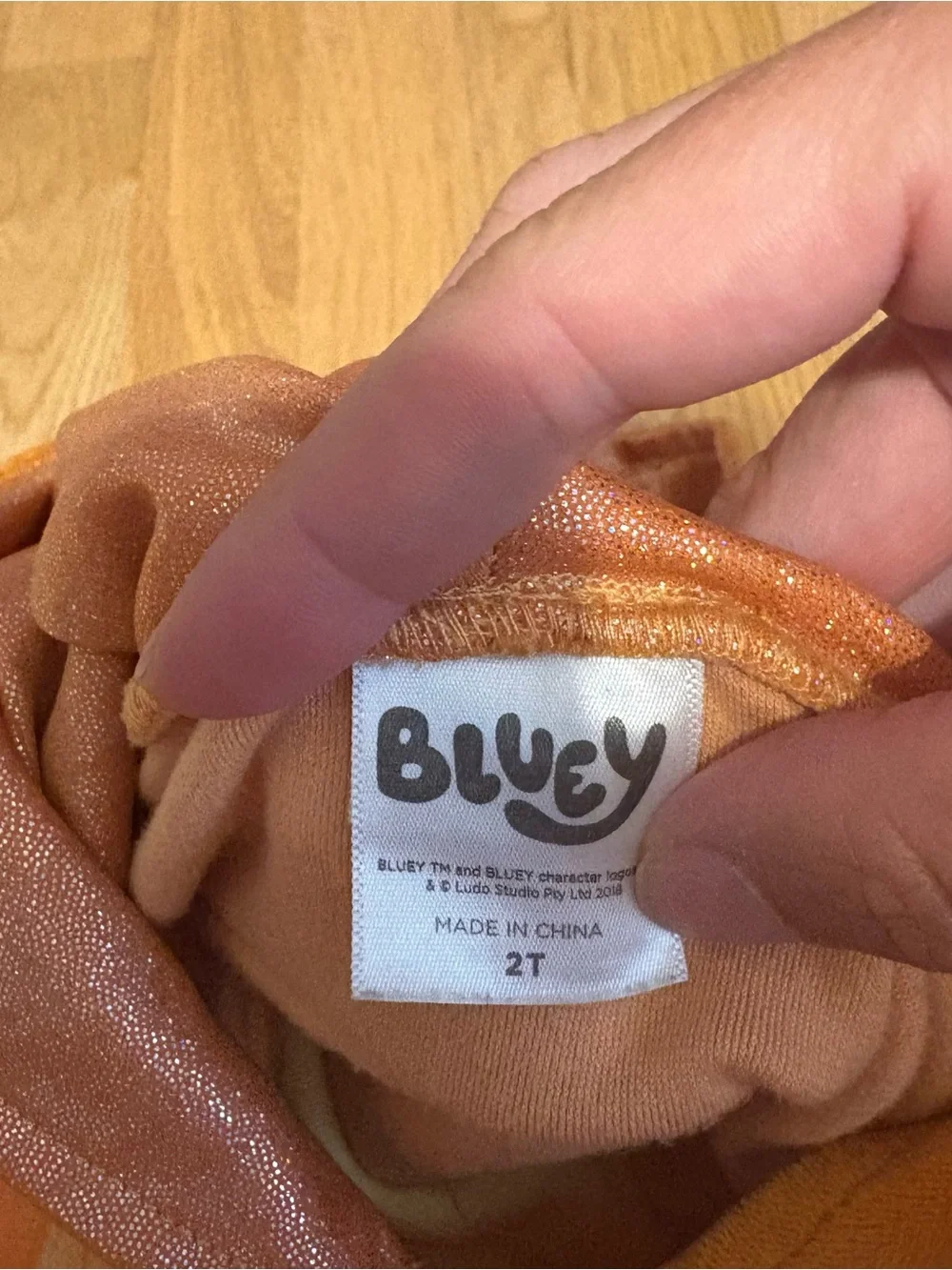 Bluey Bingo Dog Dress Costume Hooded 2T Orange Halloween Cosplay